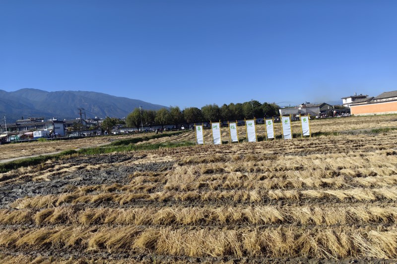 康乐农机中心举办一体化试点项目丘陵山地四轮转向拖拉机暨高性能轻简型残膜捡拾回收机现场演示培训活动