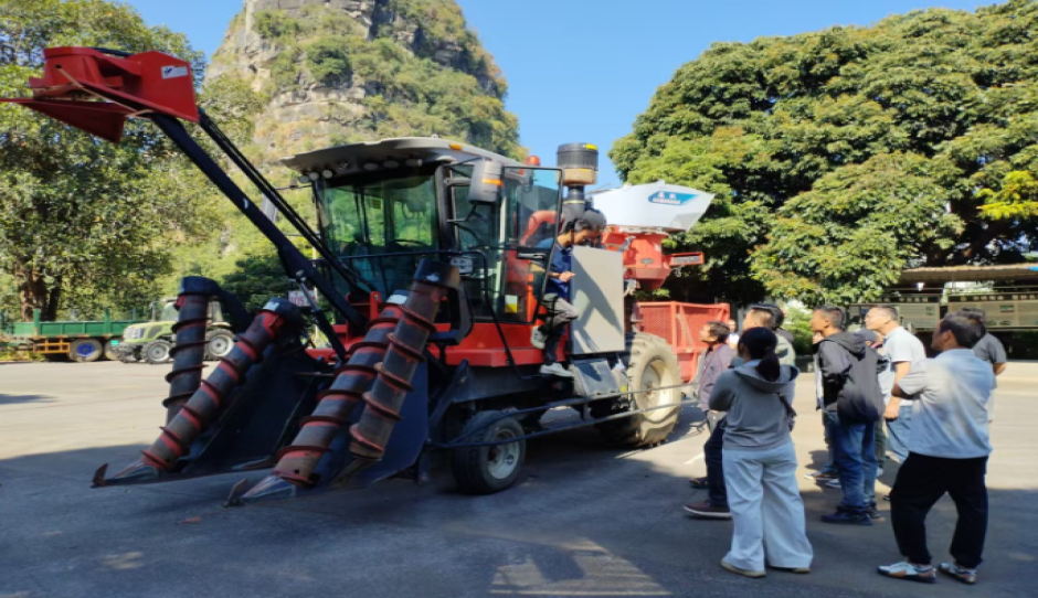 六抓六促六提升强实干 聚力赋能糖业现代化——崇左市扎实推进2026/2027年榨季糖料蔗机收攻坚工作